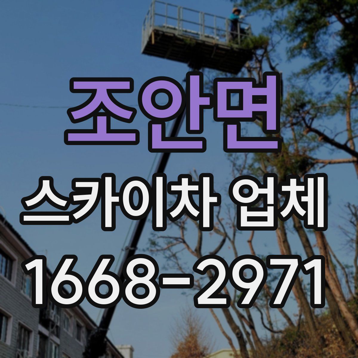 조안면 스카이차 업체