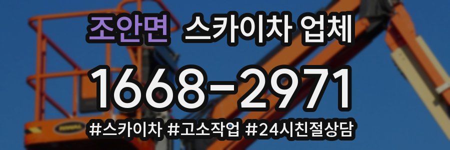 조안면 스카이차 업체