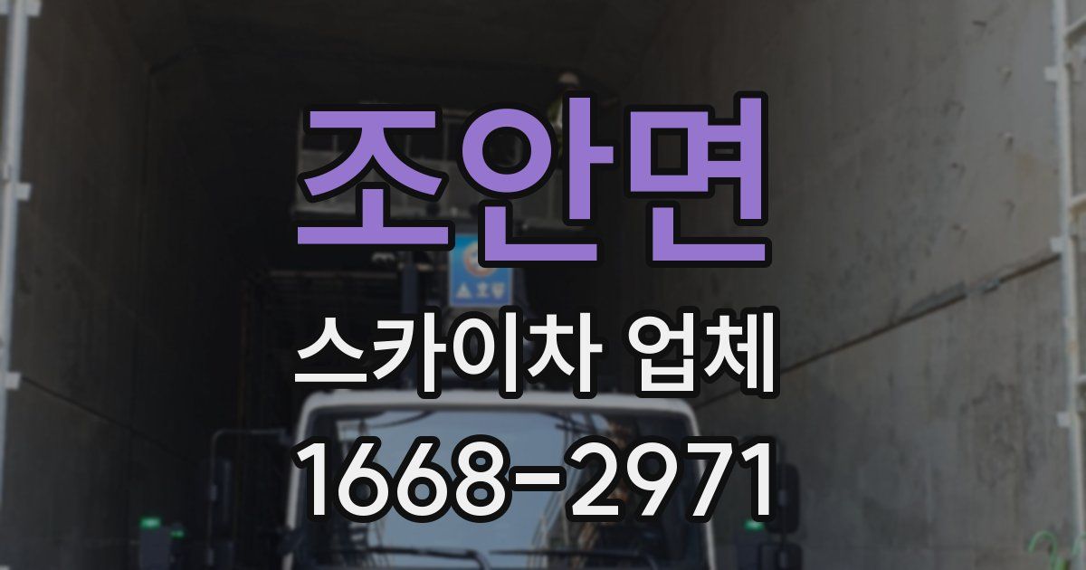 조안면 스카이차 업체