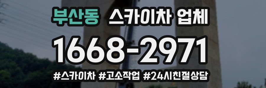 부산동 스카이차 업체