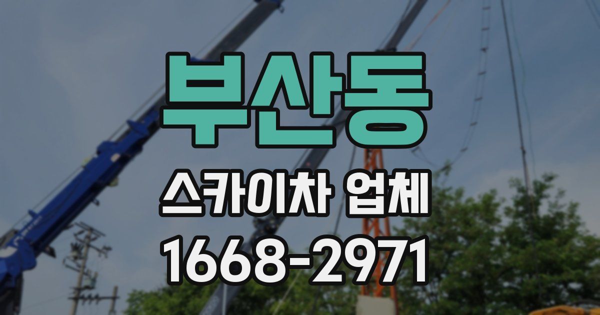 부산동 스카이차 업체