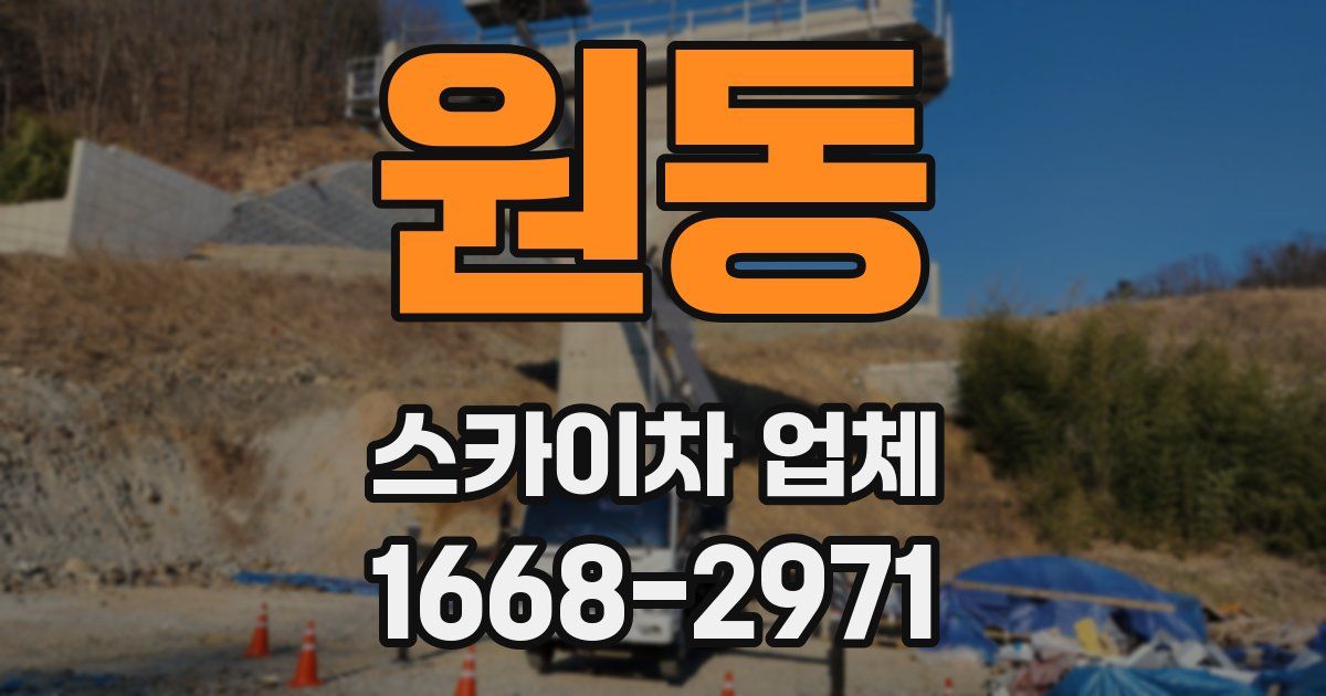 원동 스카이차 업체