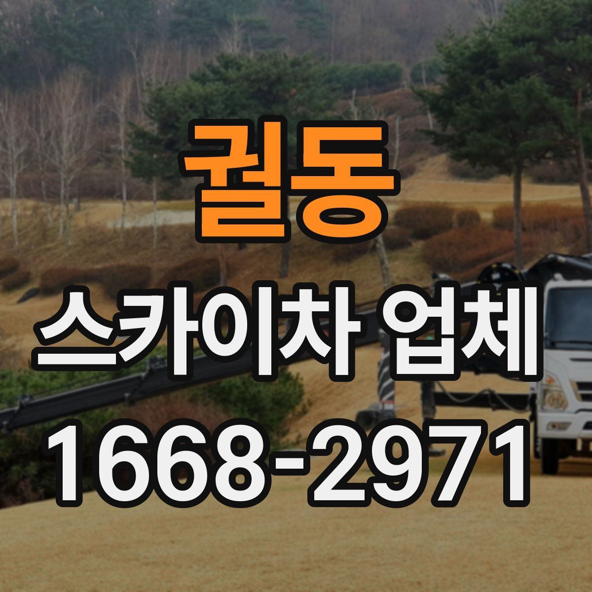 궐동 스카이차 업체
