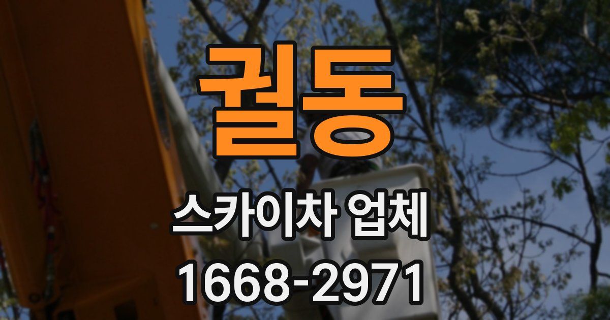 궐동 스카이차 업체