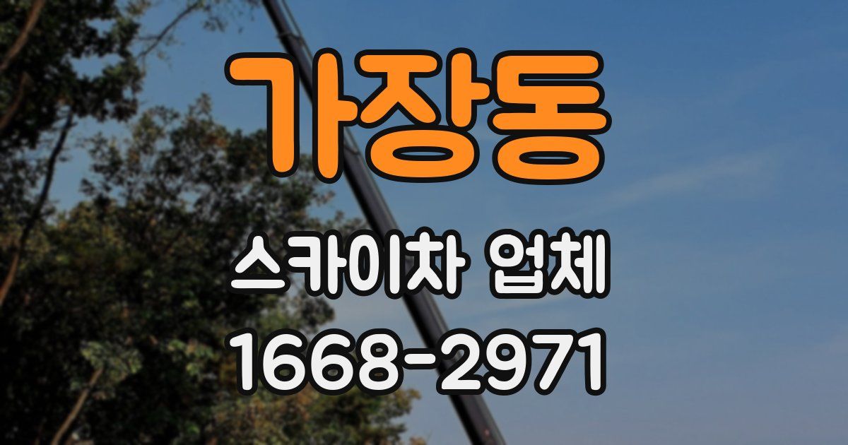 가장동 스카이차 업체