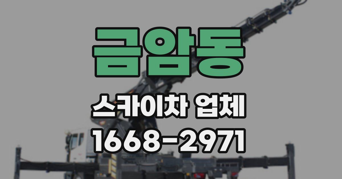 금암동 스카이차 업체