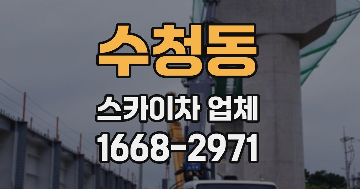 수청동 스카이차 업체