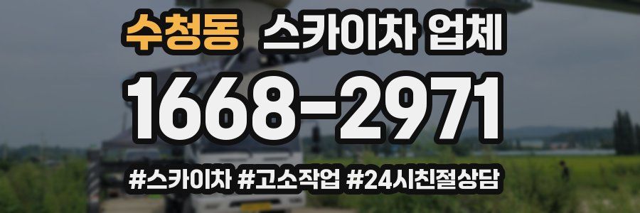 수청동 스카이차 업체