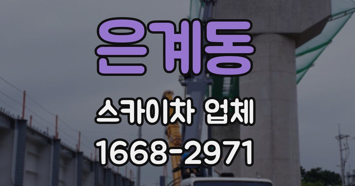 은계동 스카이차 업체