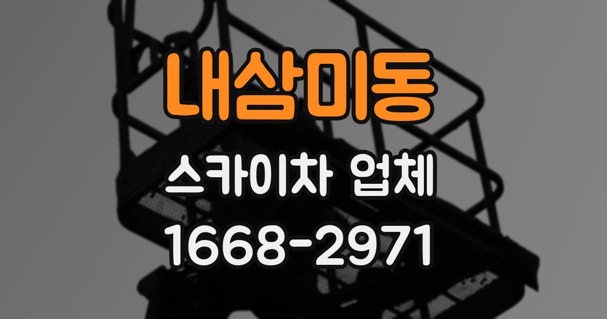 내삼미동 스카이차 업체