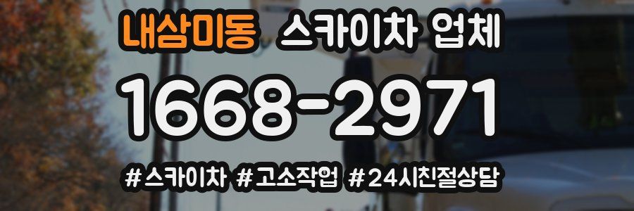 내삼미동 스카이차 업체