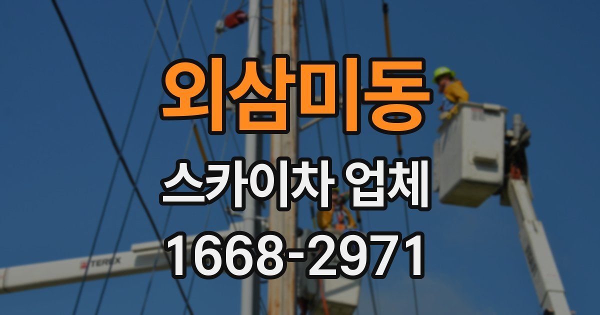 외삼미동 스카이차 업체