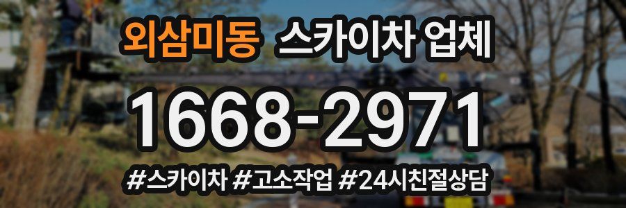 외삼미동 스카이차 업체