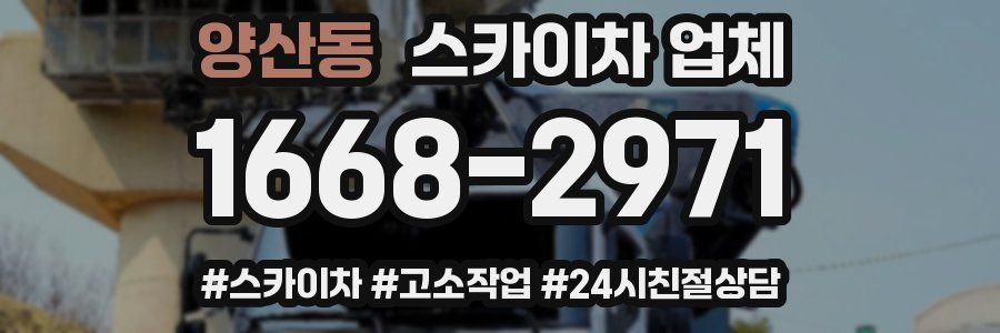 양산동 스카이차 업체