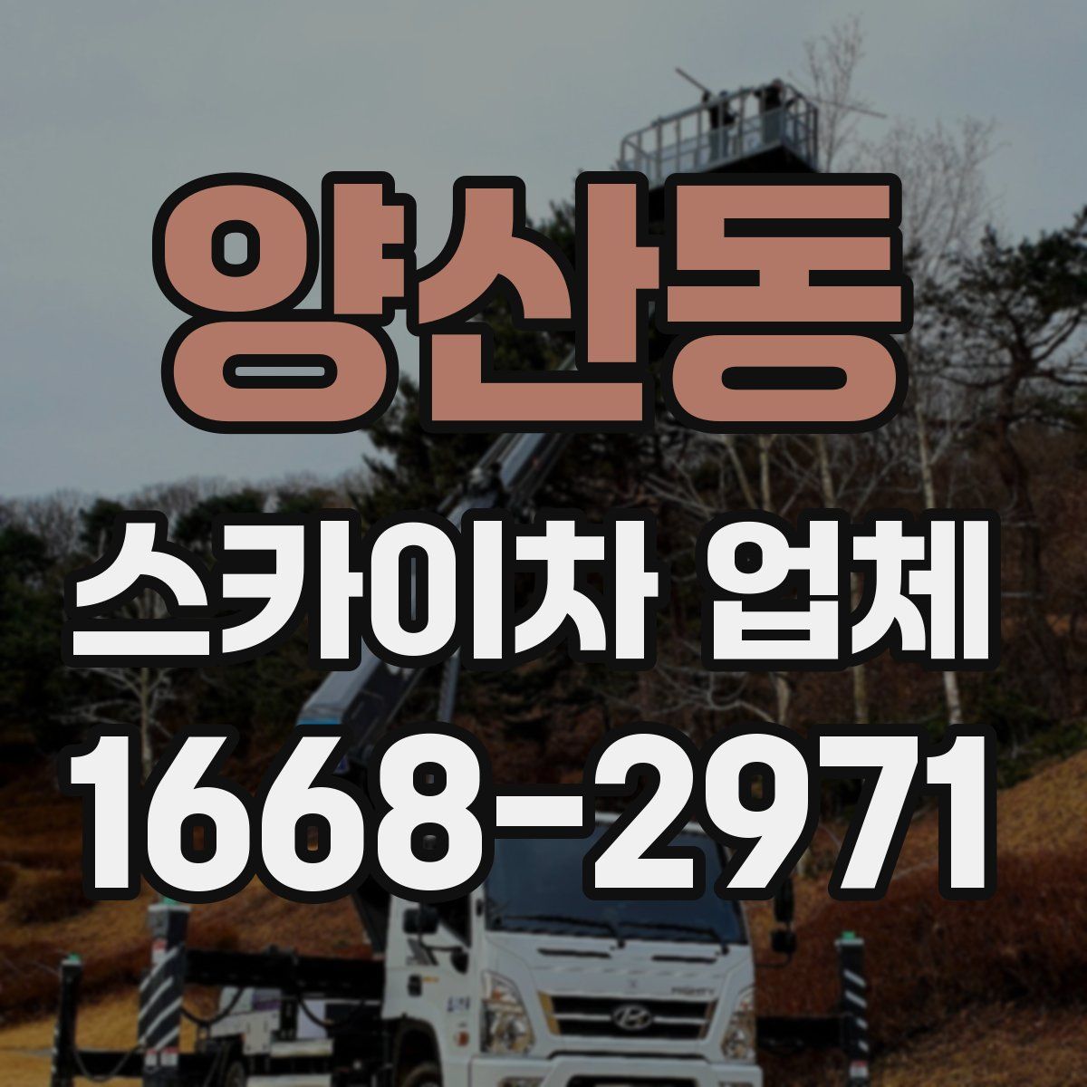 양산동 스카이차 업체