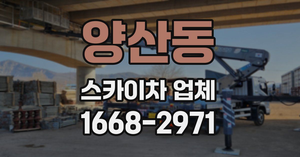 양산동 스카이차 업체
