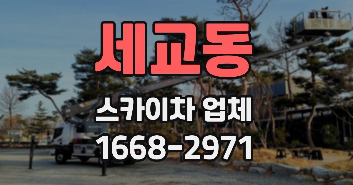 세교동 스카이차 업체