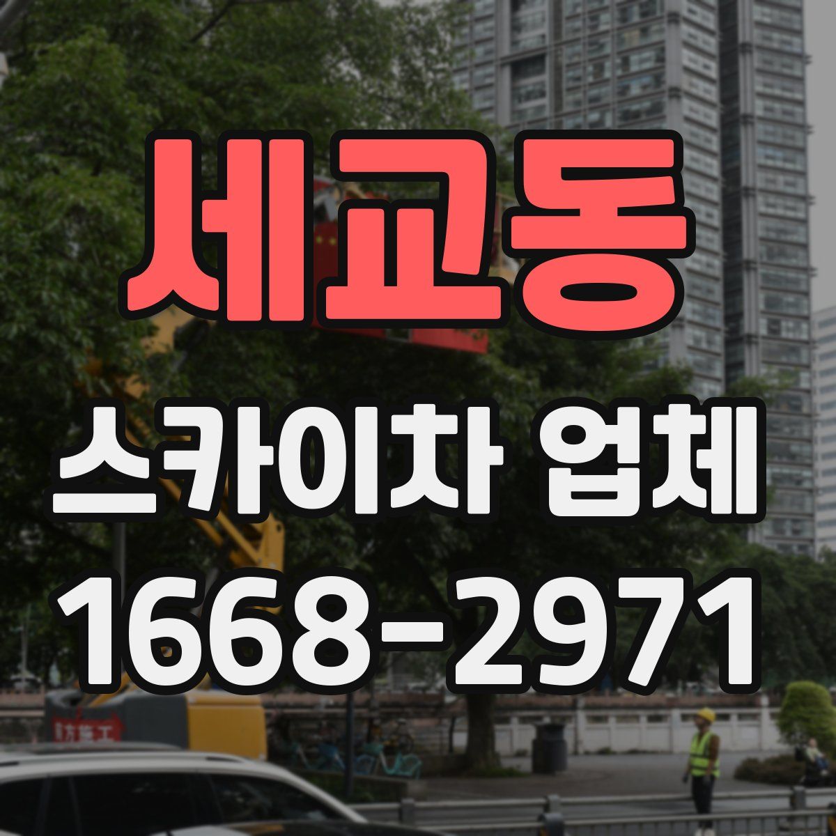 세교동 스카이차 업체