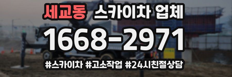 세교동 스카이차 업체