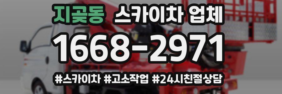 지곶동 스카이차 업체
