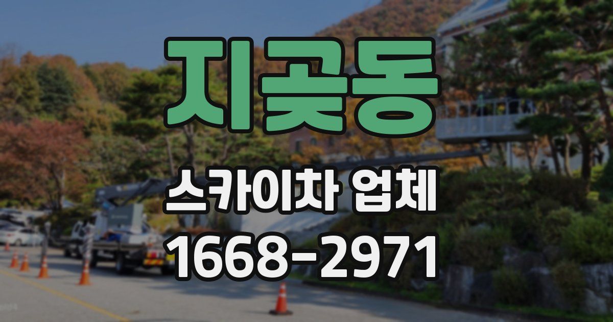 지곶동 스카이차 업체