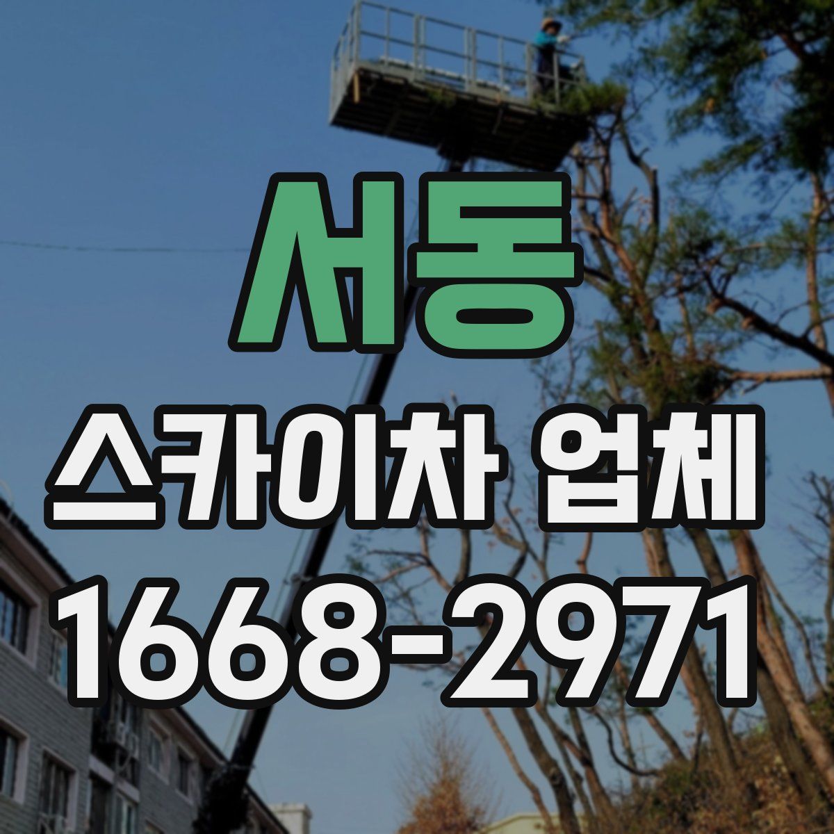 서동 스카이차 업체