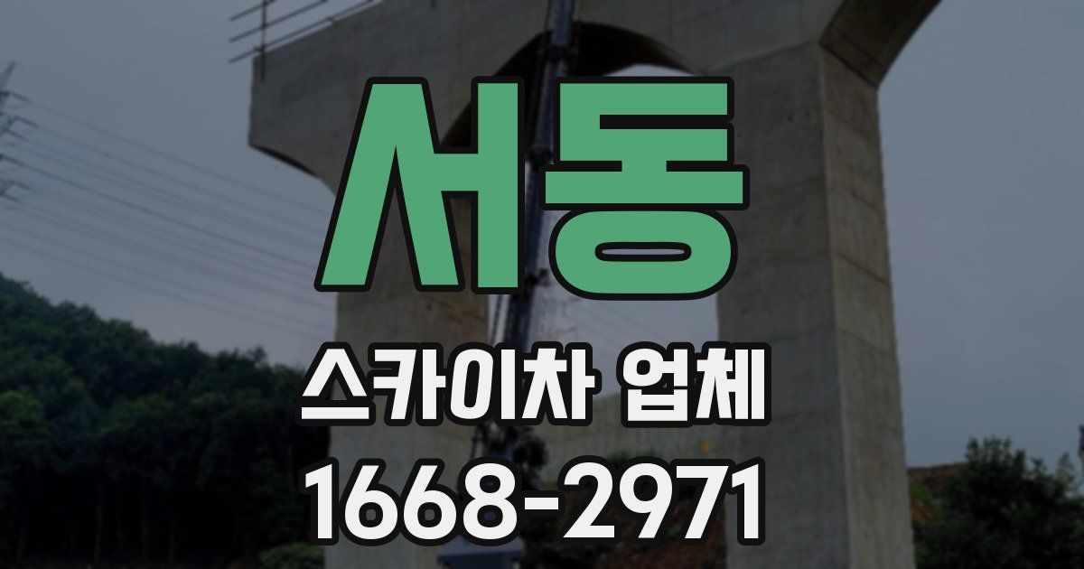 서동 스카이차 업체