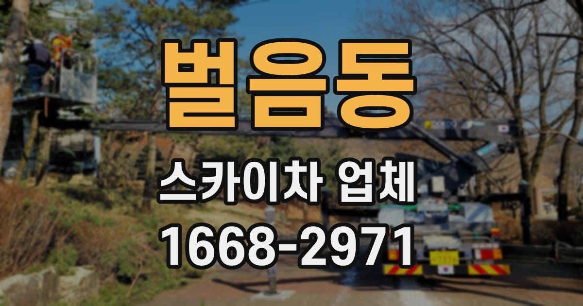 벌음동 스카이차 업체