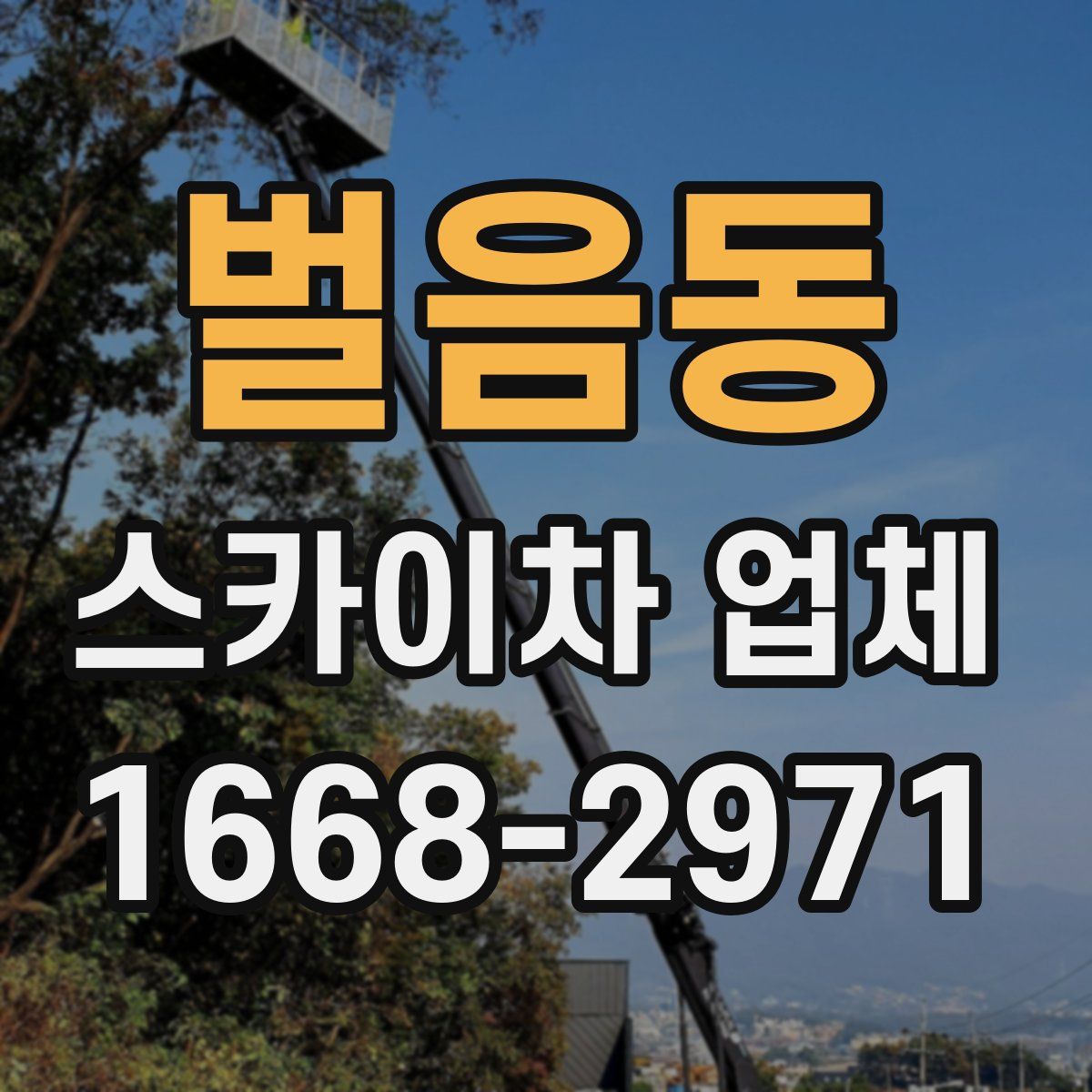 벌음동 스카이차 업체