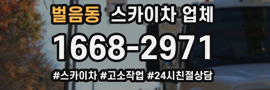 벌음동 스카이차 업체