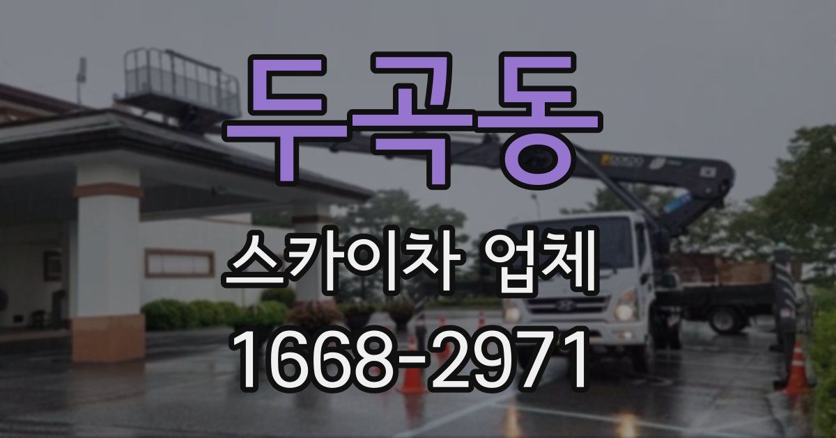 두곡동 스카이차 업체
