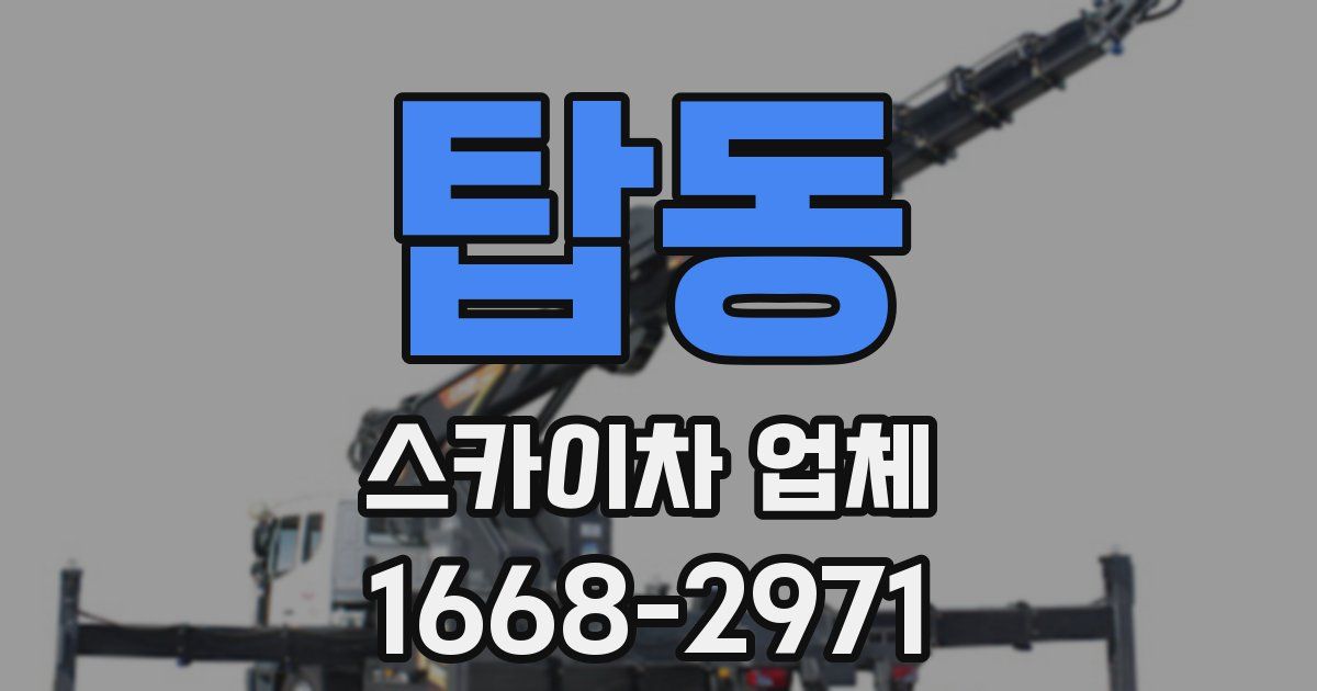 탑동 스카이차 업체
