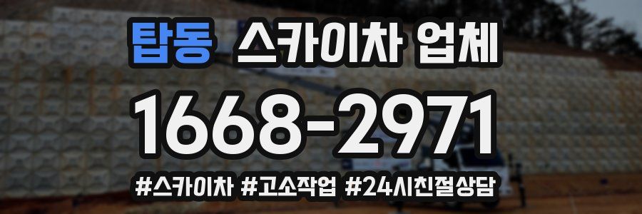 탑동 스카이차 업체