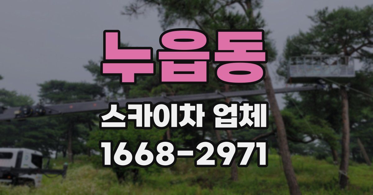 누읍동 스카이차 업체