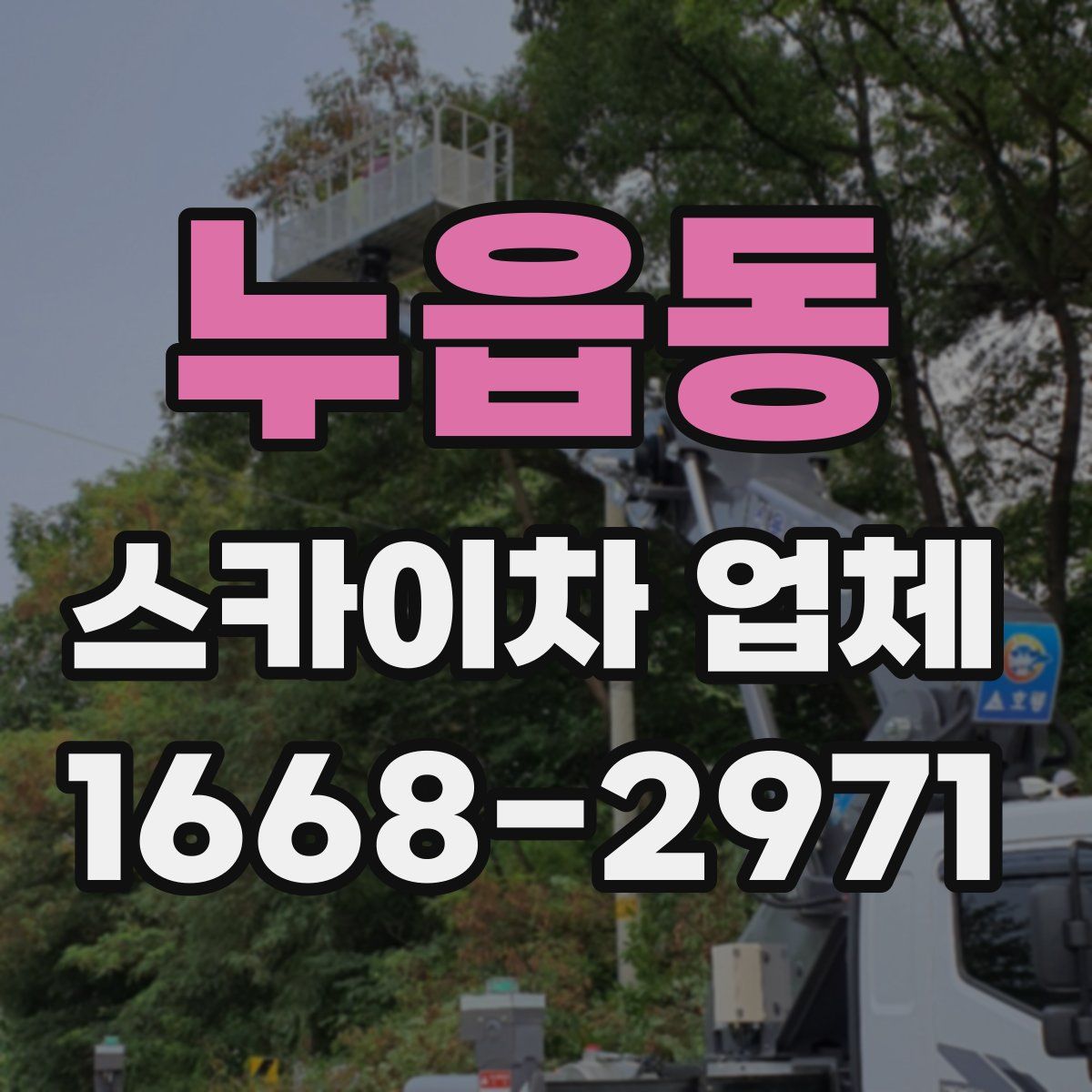 누읍동 스카이차 업체