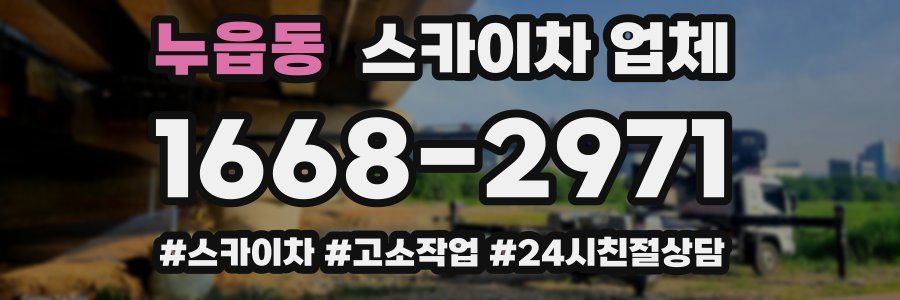 누읍동 스카이차 업체