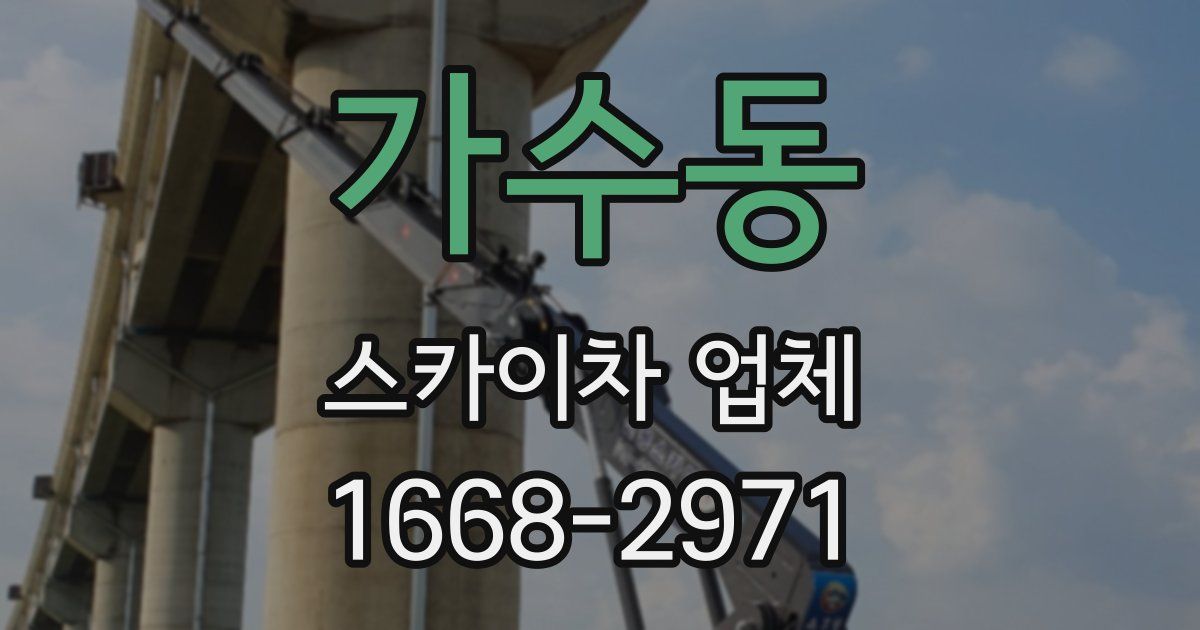 가수동 스카이차 업체