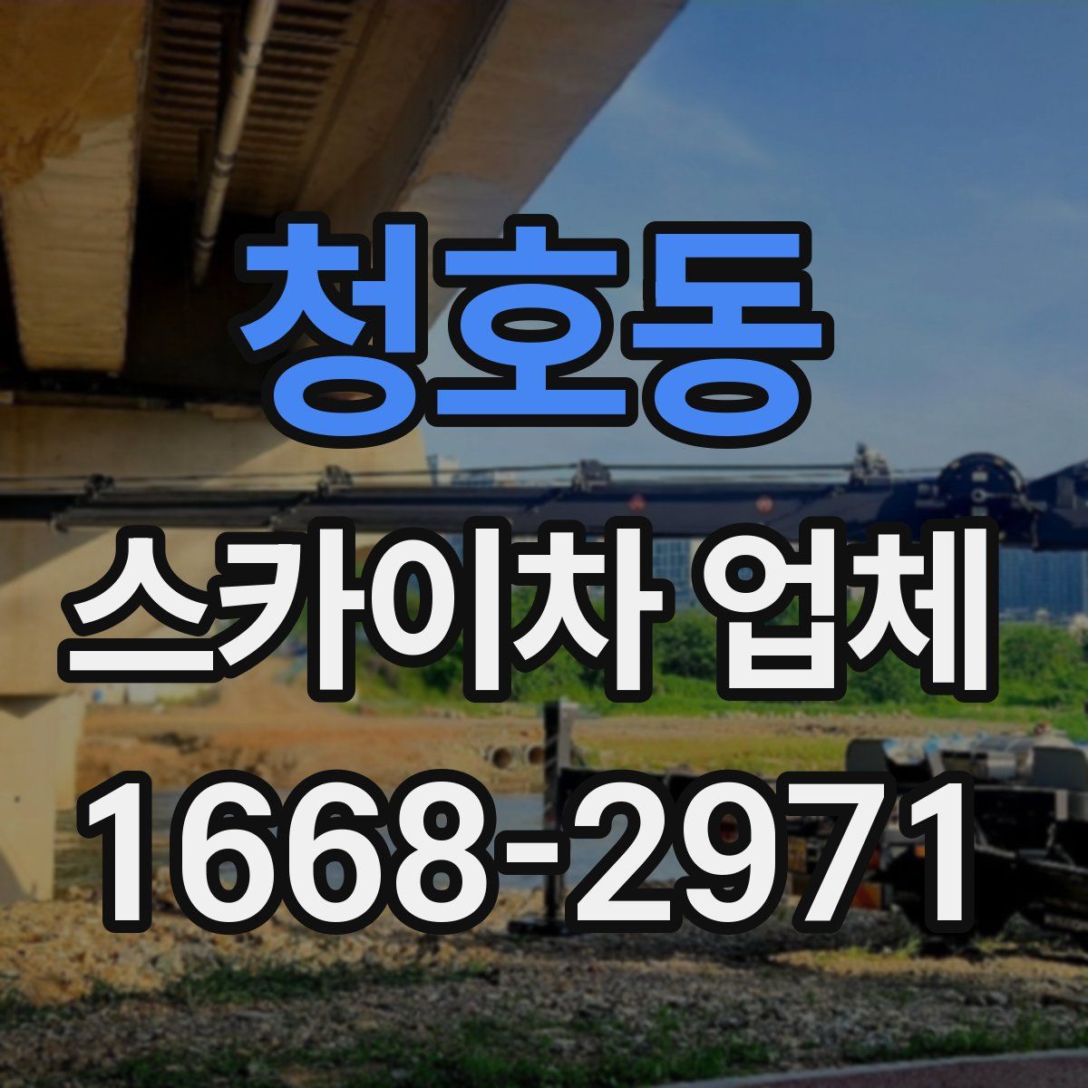 청호동 스카이차 업체