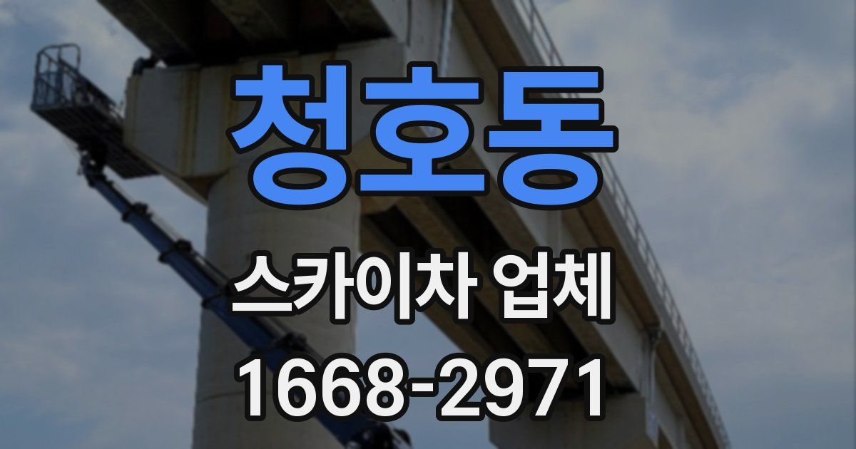청호동 스카이차 업체