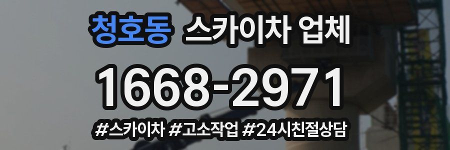 청호동 스카이차 업체