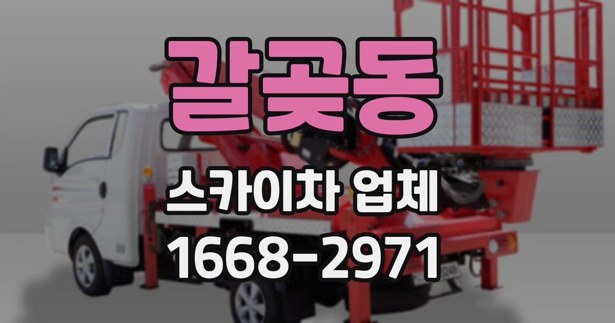 갈곶동 스카이차 업체