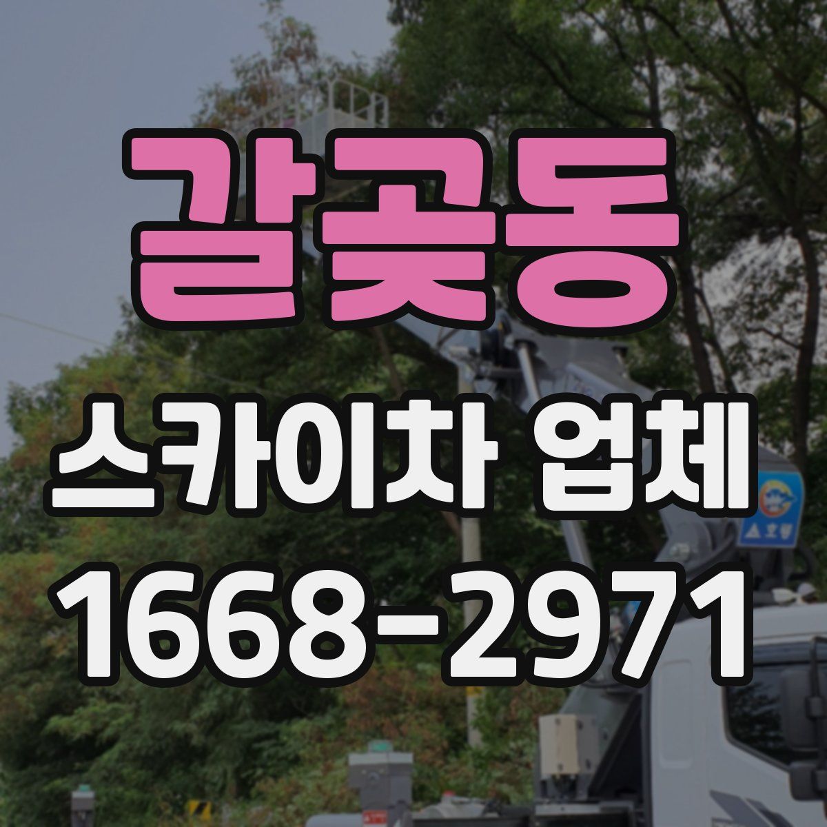 갈곶동 스카이차 업체