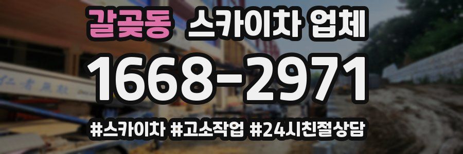 갈곶동 스카이차 업체