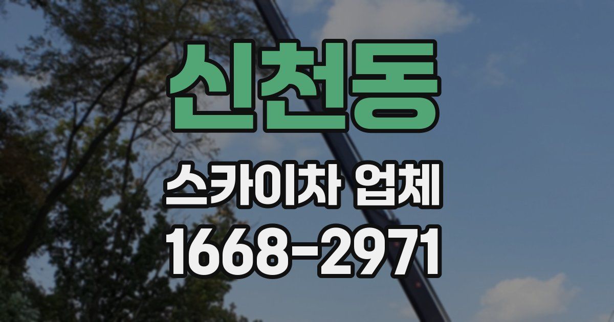 신천동 스카이차 업체