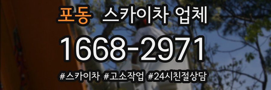 포동 스카이차 업체