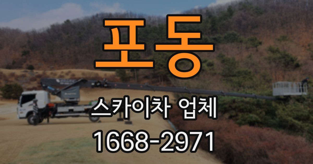 포동 스카이차 업체