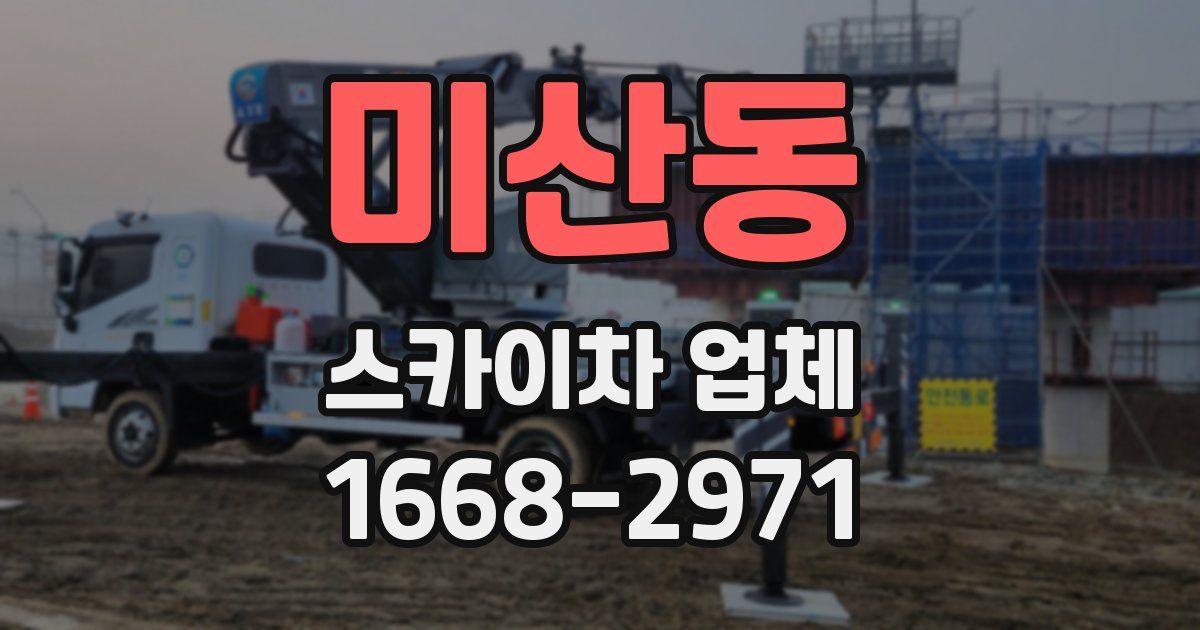 미산동 스카이차 업체