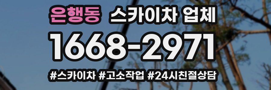 은행동 스카이차 업체