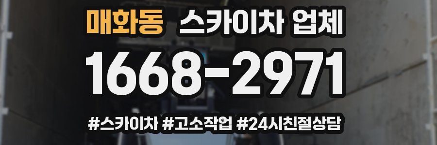 매화동 스카이차 업체
