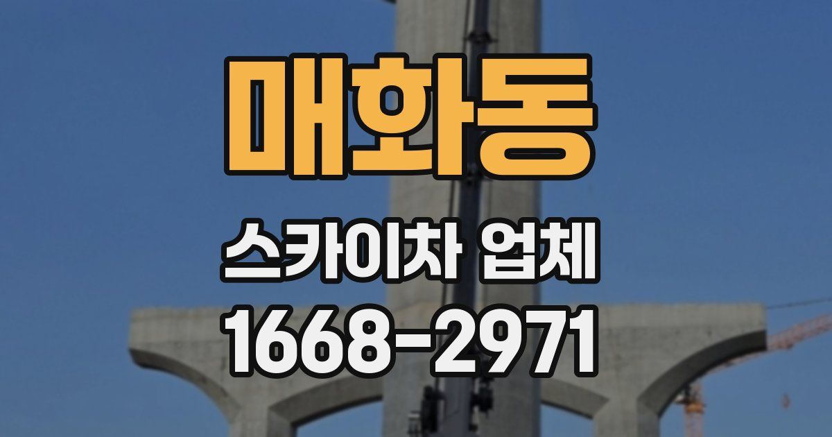 매화동 스카이차 업체